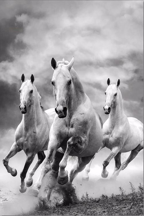 Art on Acrylic Galloping Horses