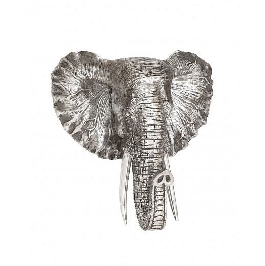 Elephant Head