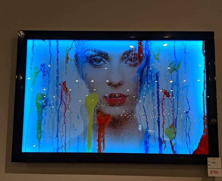 LED Color Changing Painting