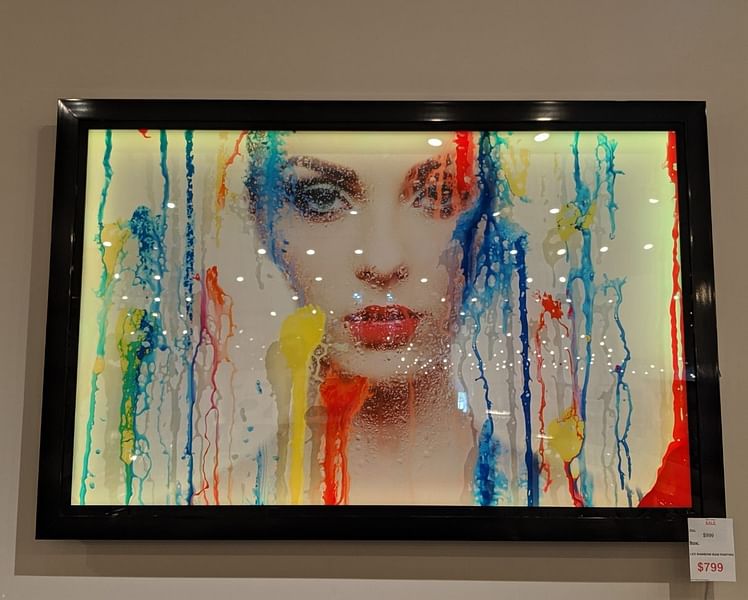 LED Color Changing Painting
