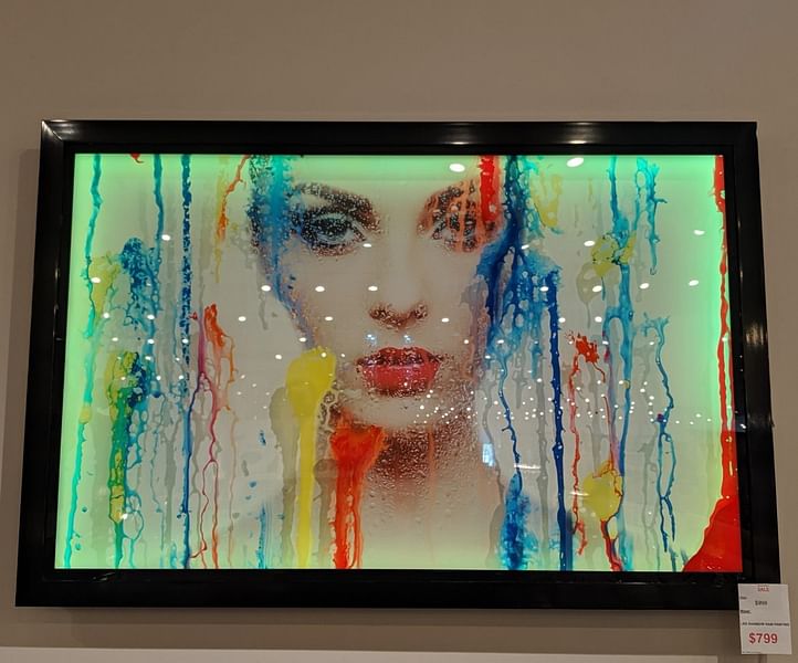 LED Color Changing Painting