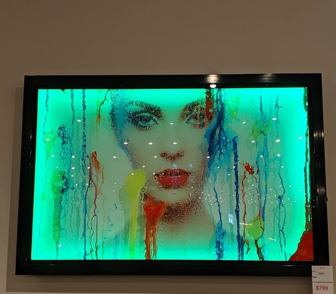 LED Color Changing Painting