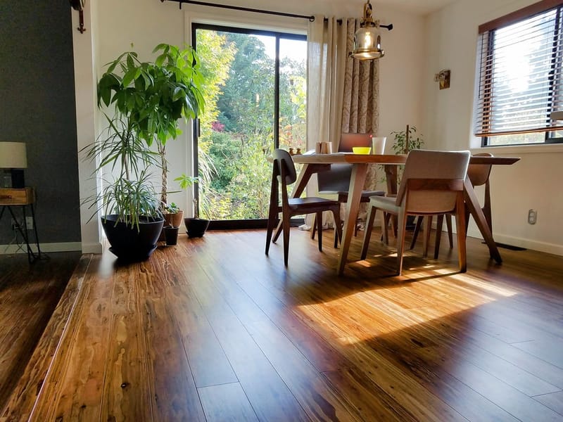 Cali Vinyl Pro - Mocha Eucalyptus