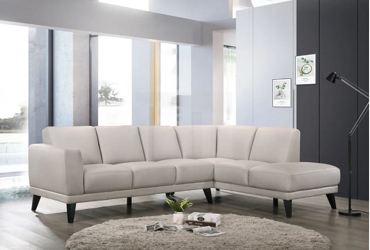 Altamura Contemporary Leather Sectional