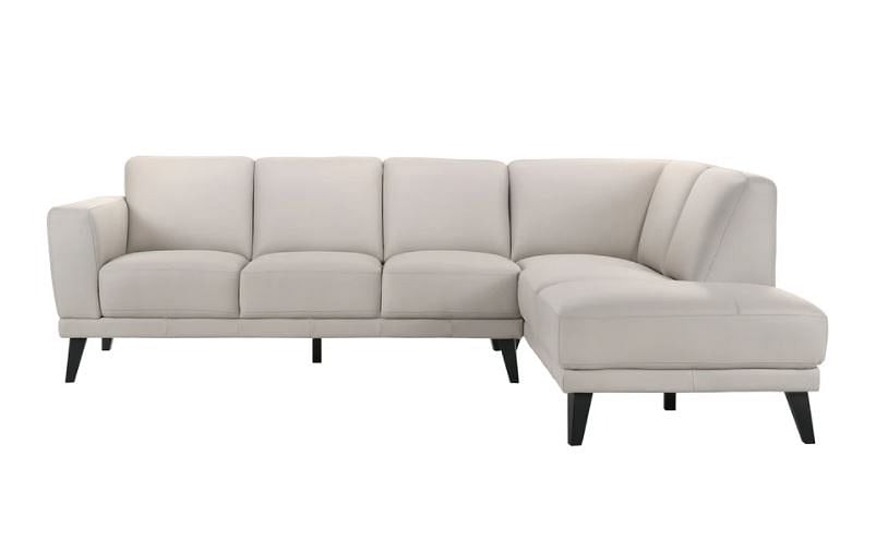 Altamura Contemporary Leather Sectional