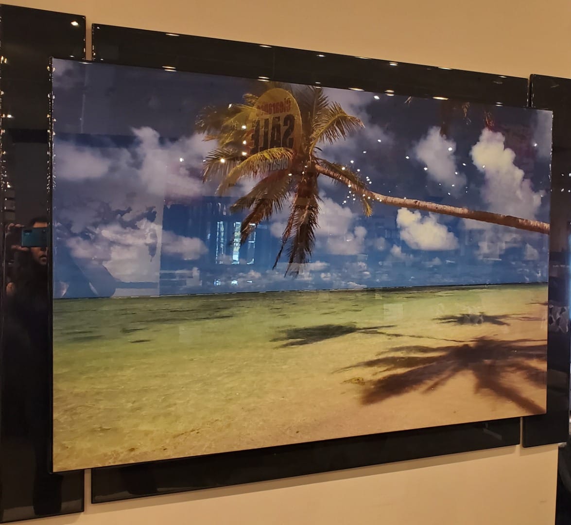 Palm Tree Art