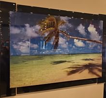 Palm Tree Art