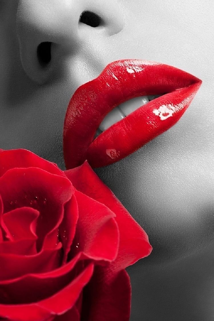 Art on Acrylic Glossy Rose