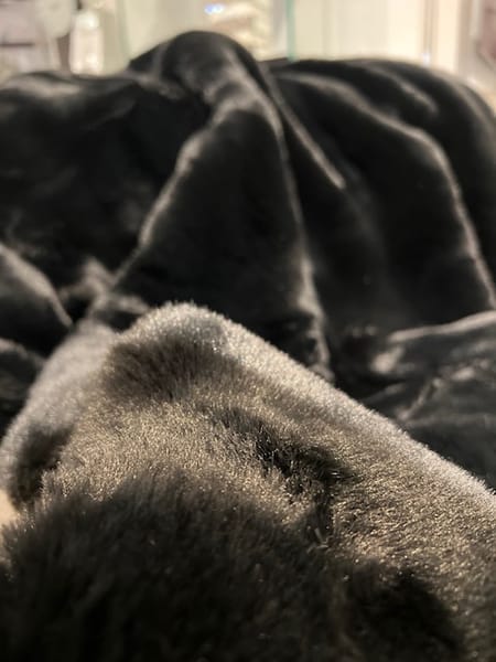 CHINCHILLA THROW BLANKET 47"X60"