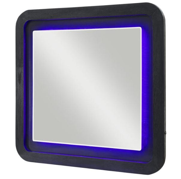 OREGON MIRROR W/ LED