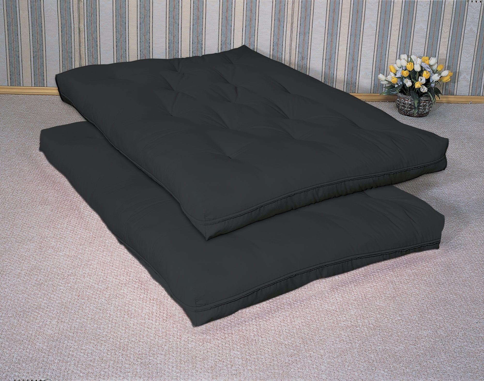 Coaster Living Room Promotional Futon Pad 2002