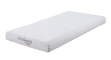 Coaster Mattresses 6" Full Mattress 350062F