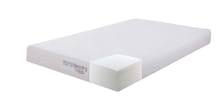 Coaster Mattresses 8" Twin Xl Mattress 350063TL