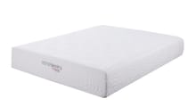Coaster Mattresses 12" Queen Mattress 350065Q
