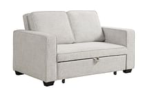 Coaster Living Room Sleeper Sofa Bed 508369