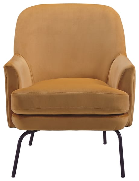 Ashley Living Room Dericka Accent Chair A3000237
