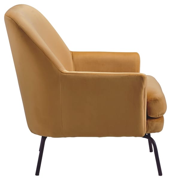 Ashley Living Room Dericka Accent Chair A3000237