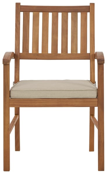 Ashley Outdoor/Patio Janiyah Outdoor Dining Arm Chair (Set of 2) P407-601A