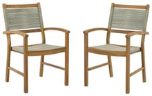 Ashley Outdoor/Patio Janiyah Outdoor Dining Arm Chair (Set of 2) P407-602A