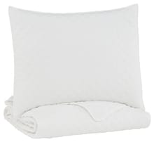 Ashley Youth Ryter Twin Coverlet Set Q721001T