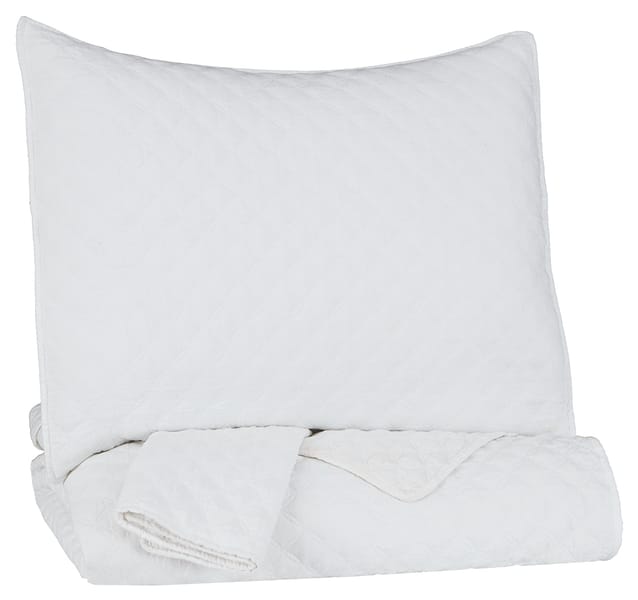 Ashley Youth Ryter Twin Coverlet Set Q721001T