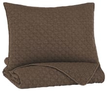 Ashley Youth Ryter Twin Coverlet Set Q722001T
